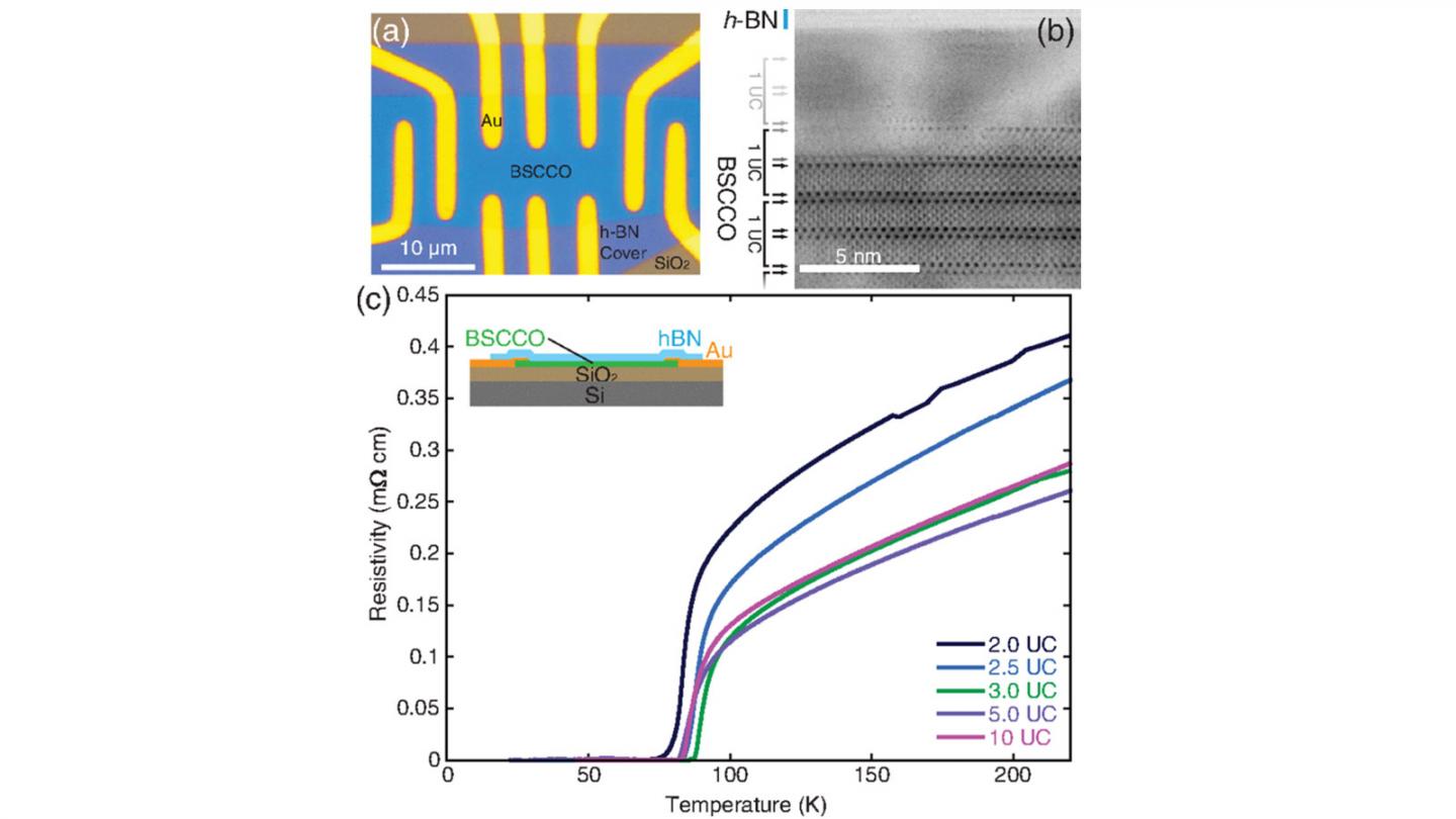 van der Waals BSCCO Device
