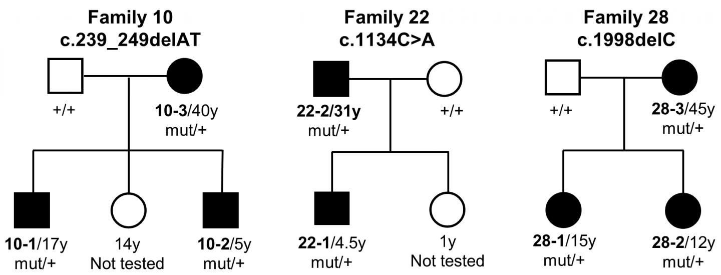 Pedigrees in a New Illness
