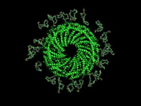 Indestructible Virus Yields Secrets to Creating Incredibly Durable Materials
