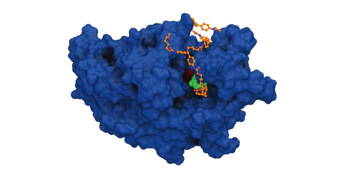 Enzyme CCPUR1 with polyurethane