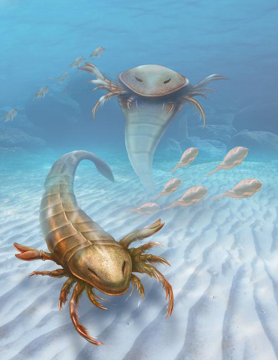 <em>Pentecopterus</em>