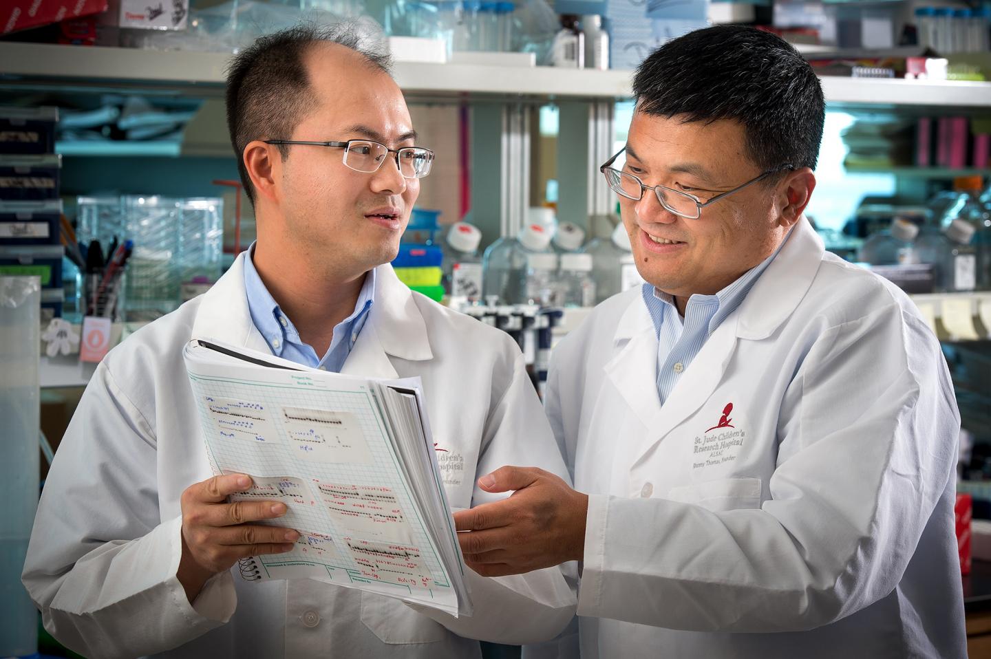 Kai Yang, Ph.D and Hongbo Chi, Ph.D, St. Jude Children's Research Hospital 