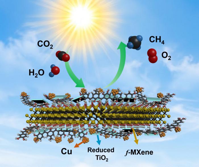 Schematic diagram of photocatalyst synthesis method