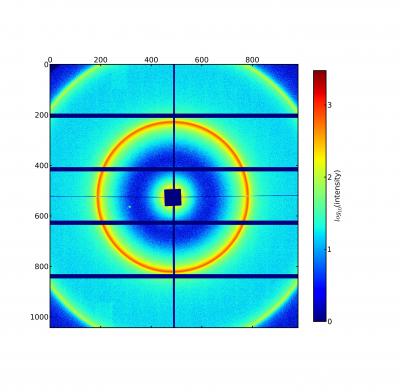 Small-Angle X-Ray Scattering of a Micro-Vesicle Sample