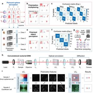 Figure 2 | Vectorial DNN for polarized object perception.