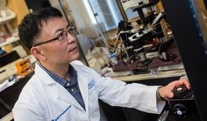 Mouse study shows non-opioid compound relieves pain
