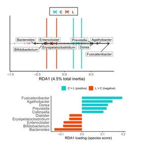 Gut microbiota diversity in underweight (L) and normal-weight (C) women