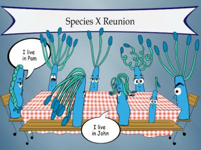 Cartoon of Gut Microbe Strains