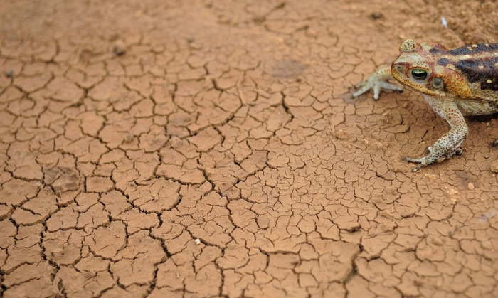 Extreme weather events in South America