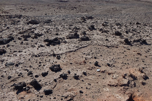 Glasses strewn across the desert