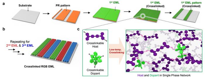 Figure 1 | Schematic illustrations of indirect photopatterning method of OLED EMLs based on RGB luminophores in single phase network structure.