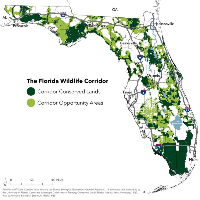 The Florida Wildlife Corridor