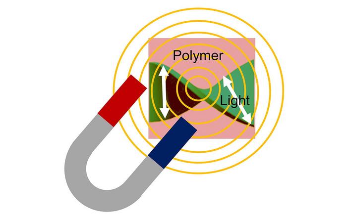 Magneto-electrochemical control of optical rotation