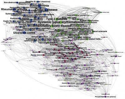 Modules in the Backbone of the Human Phenotype Network