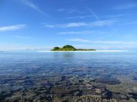 Coral Reef Island in the Maldives