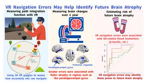 Association between path integration (PI) performance and structural brain changes