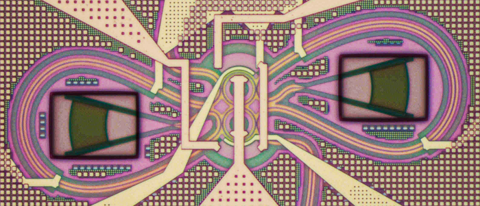 Microscopic Image