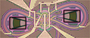 Microscopic Image