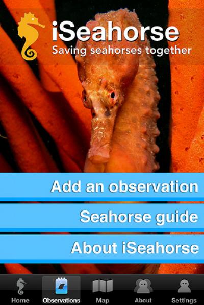 iSeahorse