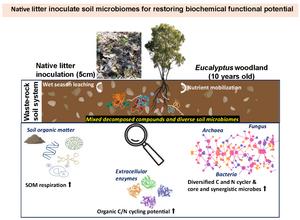 Biological triggering waste rock-based soil system with native plant litter establishes soil microbiome and biochemical functional potential typical of Eucalyptus woodland