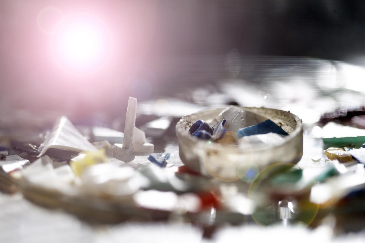 Plastic Pollution