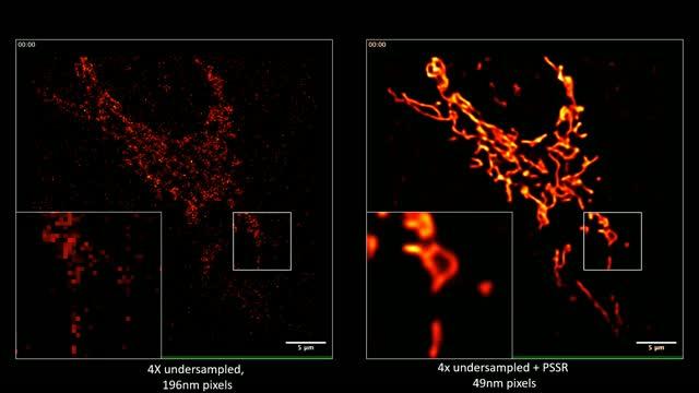 Salk science video