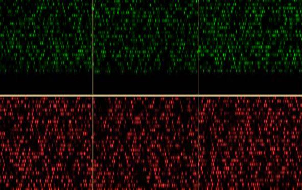 Epigenome