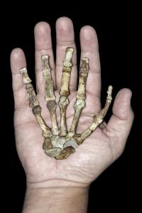 Hand