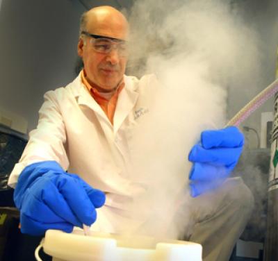 Dr. Ali Eroglu, Medical College of Georgia