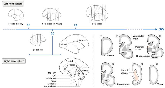 Figure 1