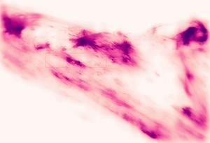 Plasmoid Video