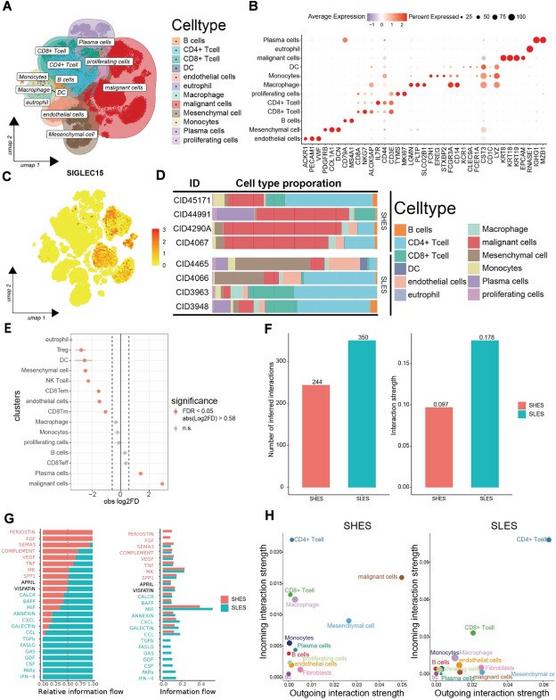 Single-cell analysis revealed the functions of SIGLEC15 in the TME.