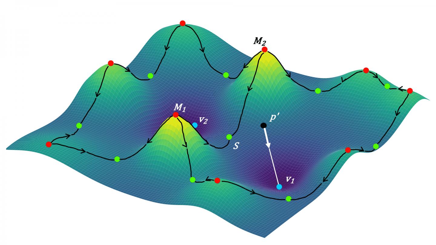 Neuronal Topological Map
