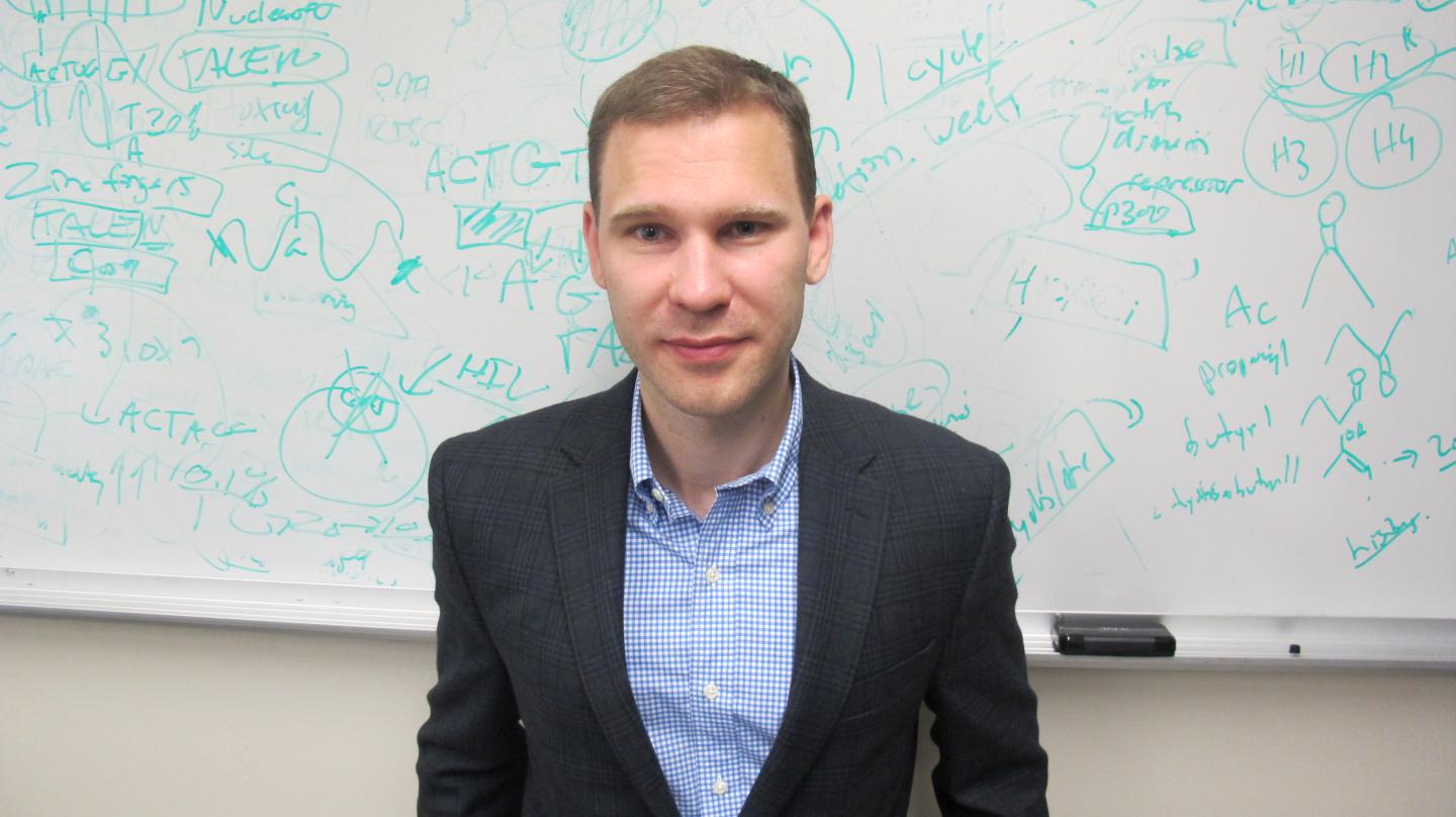 Engineering a Permanent Solution to Genetic Diseases