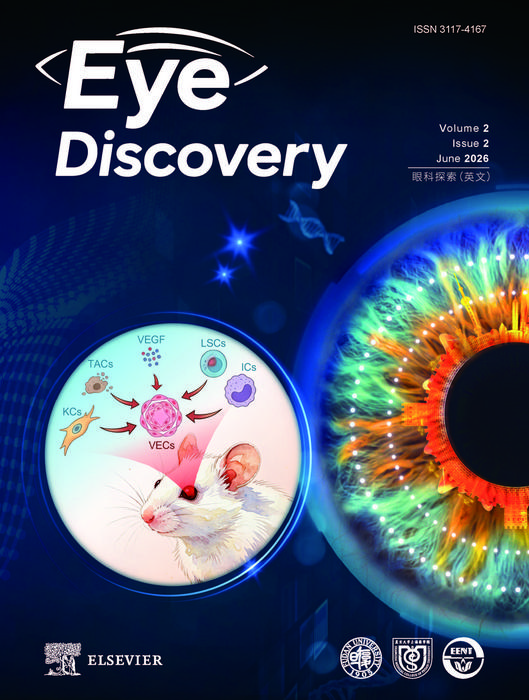 Single-Cell Mapping Reveals an Amplified VEGF Communication Network