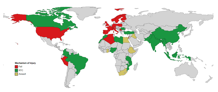Map illustrating the most common causes of head injury