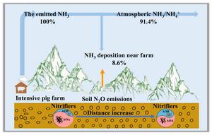 Increased soil N2O emissions under natural gradient of atmospheric NH3 deposition