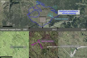 There are significant discrepancies between official maps of peatlands and information from satellites. However, historical aerial photographs show that new drainage ditches may have led to the degradation of the land.