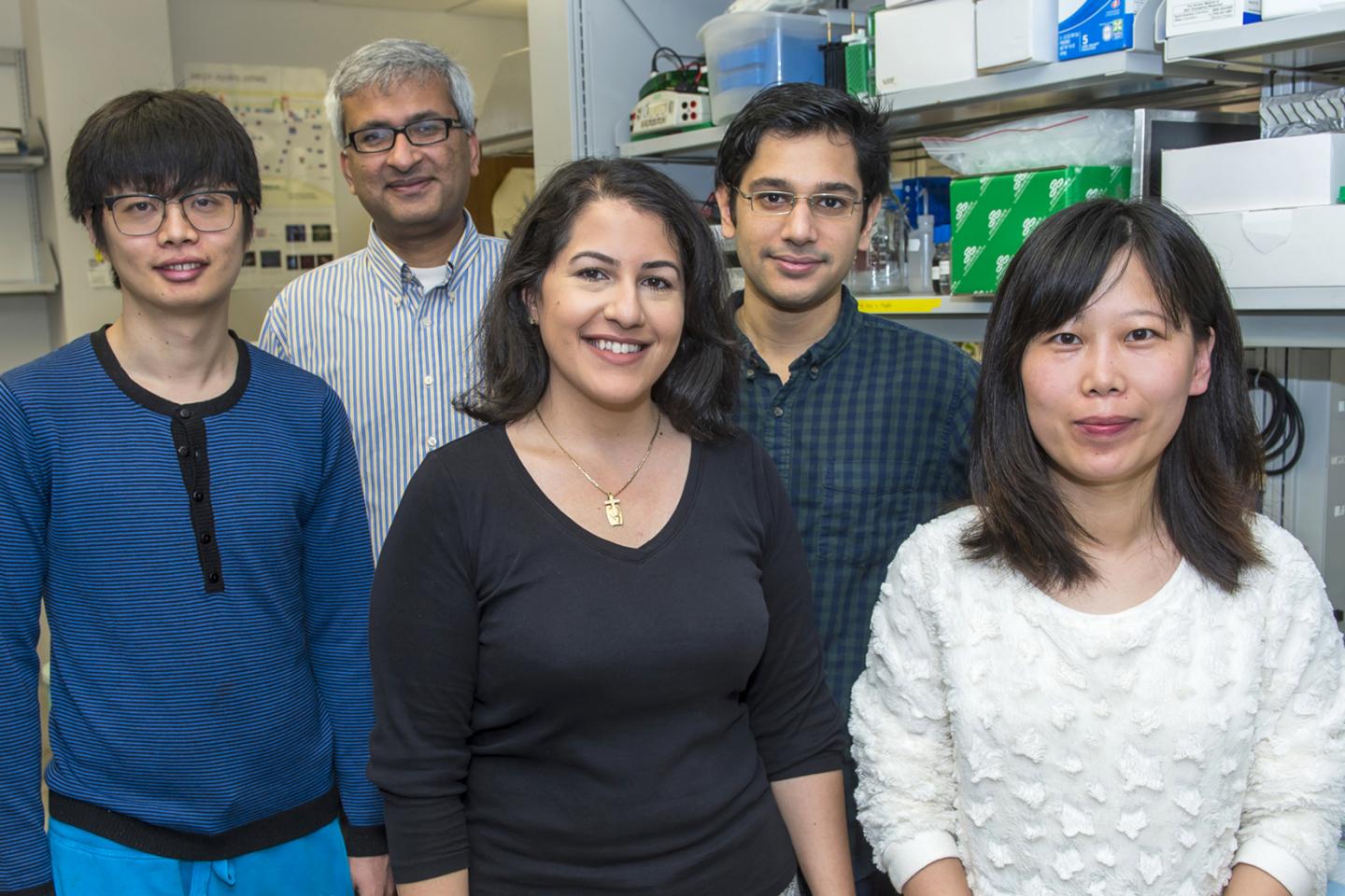 Rice University Researchers