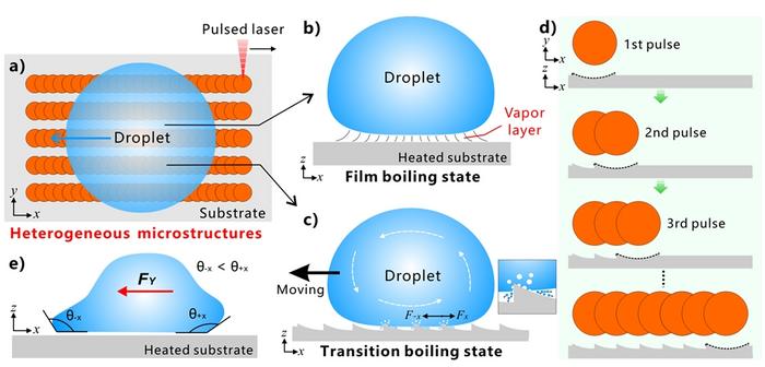 Figure | Mechanism of unidirectional self-propulsion of the Leidenfrost droplets on the laser-designed heterogeneous structures.