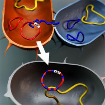 Antibiotic Resistance-Carrying Plasmids