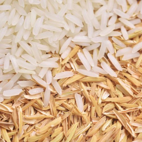 Thermal energy storage the key to reducing agricultural food pollution