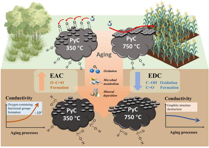 Pyrolysis temperature determines aging effects on the electron transfer and exchange properties of pyrogenic carbon