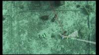 Visual Field Reconstruction