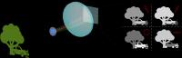 Polarized Camera