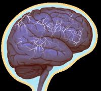 Hyperactive Brain
