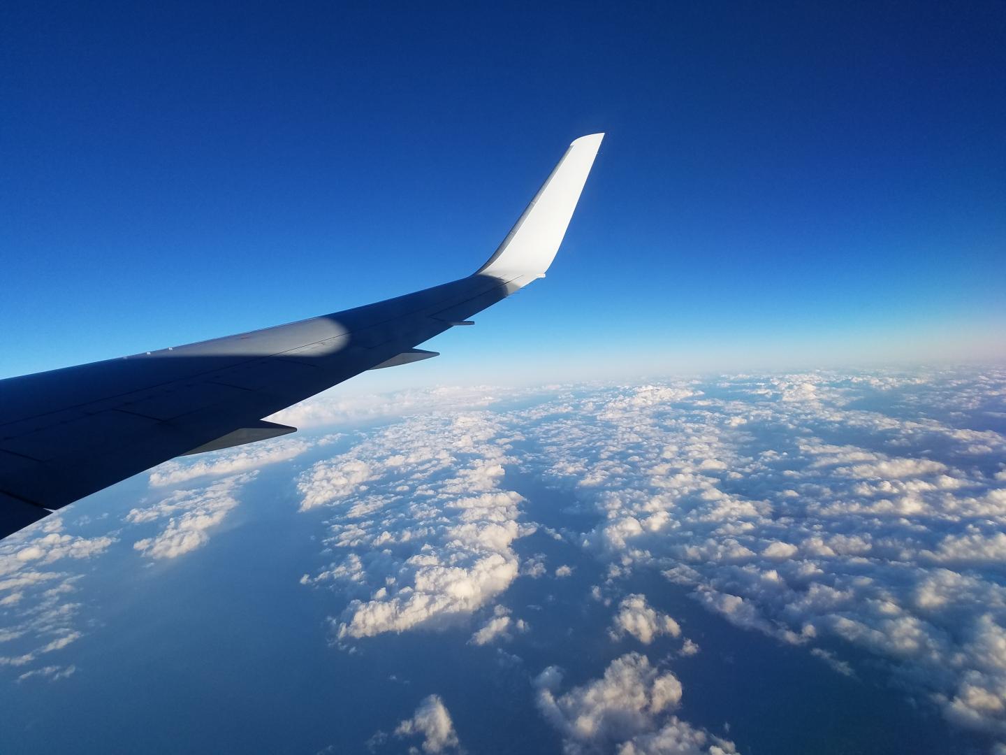 Winglet
