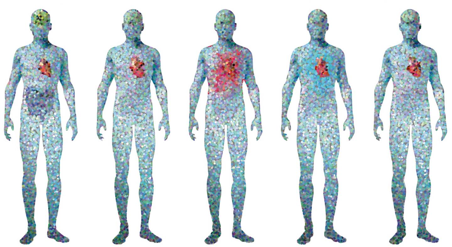 Looking at Single Cells in the Human Body