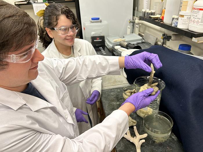 Purdue Bio-Based Adhesive Formulations - Schmidt