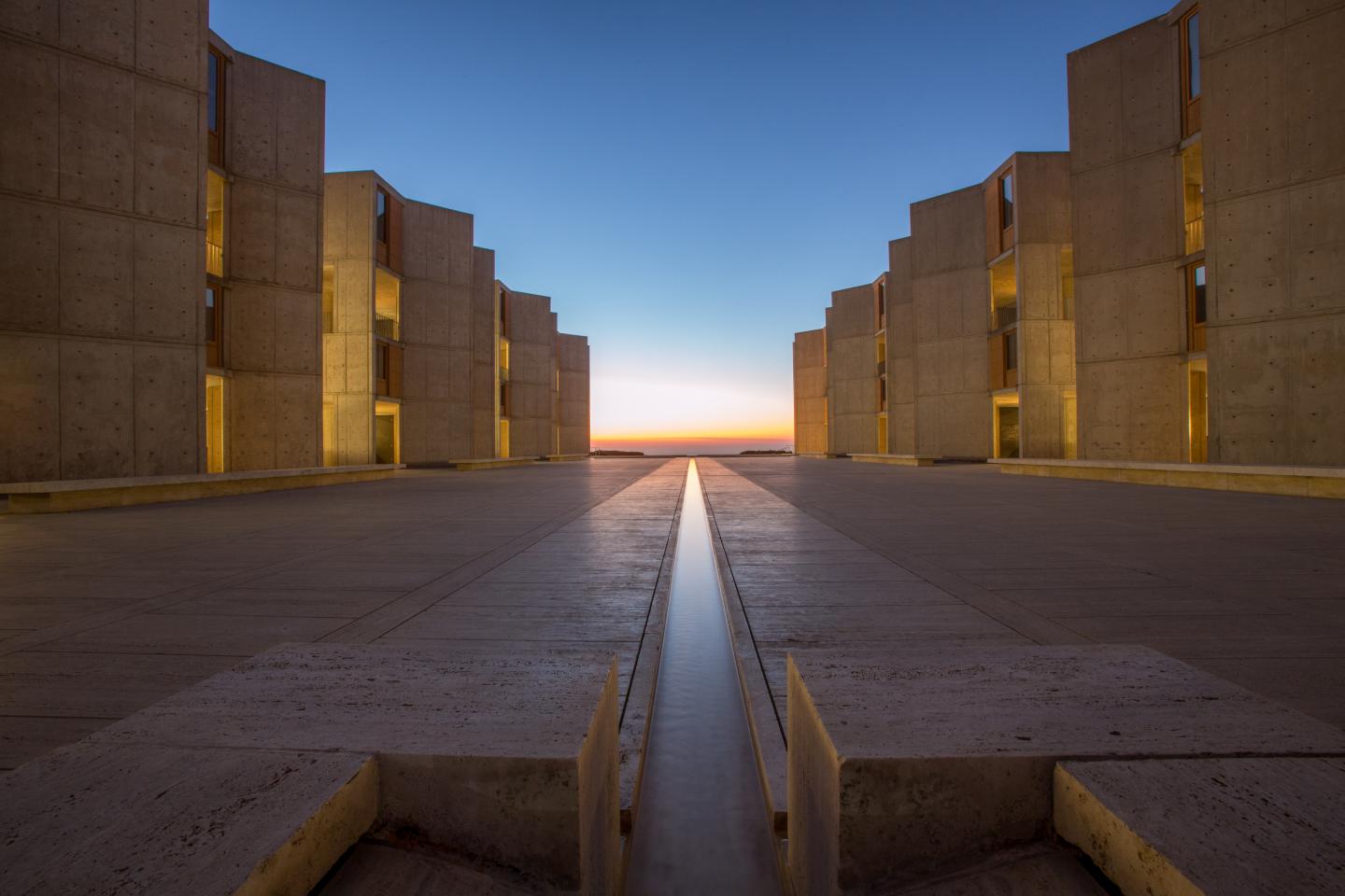 Salk Image
